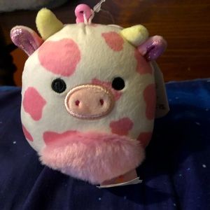 Evangelica squishmallow clip